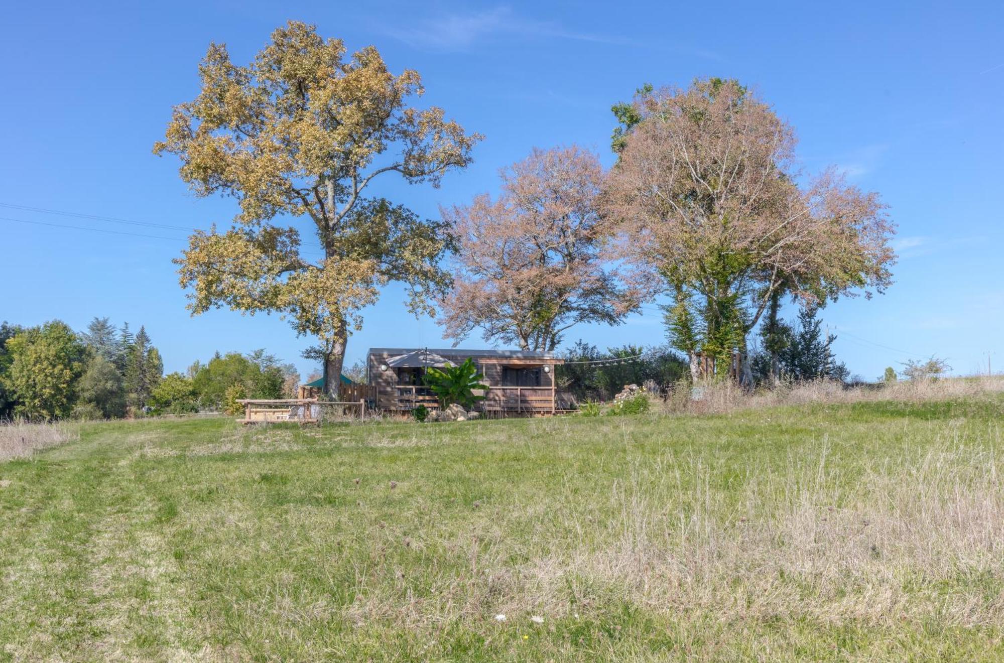 CastelvielTiny House Avec Spa, Proche De Bordeaux Et De Saint-Emilion别墅 外观 照片